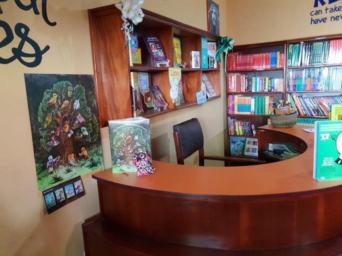 Beautiful Minds Library (Inside the Library)34