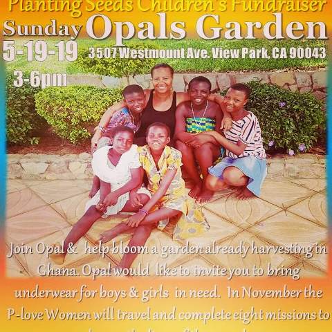 Planting Seeds Children's Fundrasier|Opal's Garden